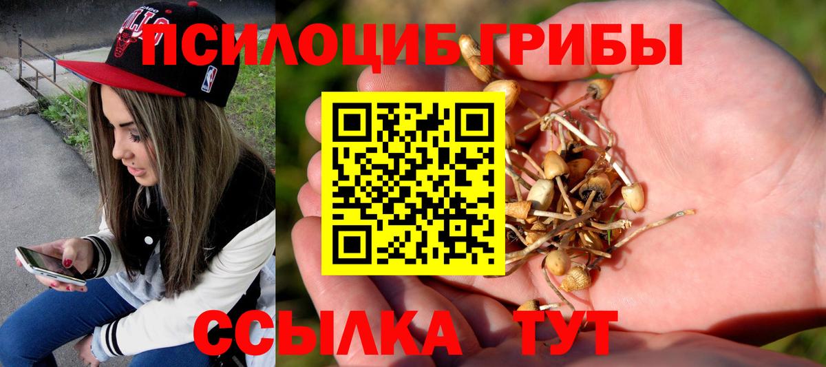 Псилоцибиновые грибы прущие грибы Котельники