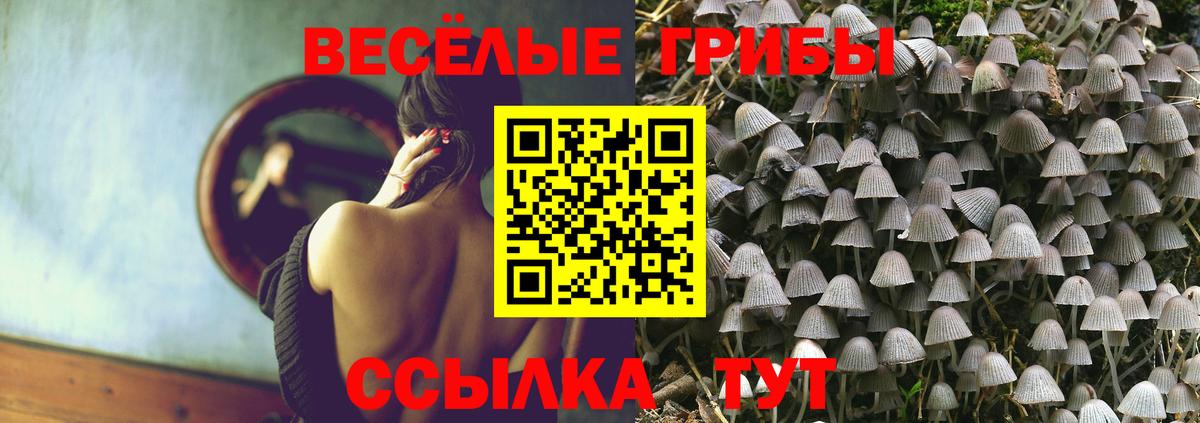 Псилоцибиновые грибы прущие грибы  Вход с VPN  Котельники 